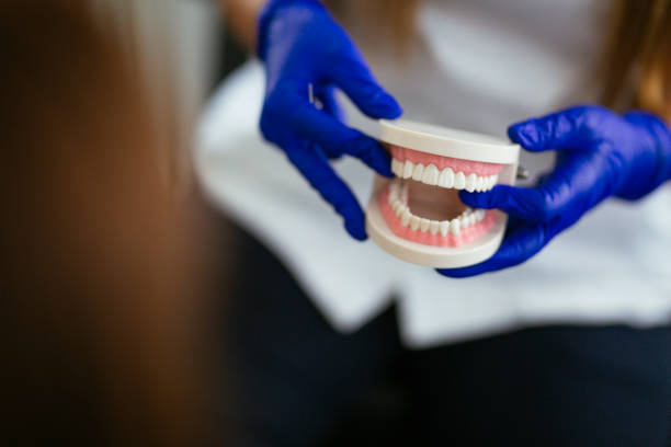 Best Preventive Dentistry  in Fallston, MD